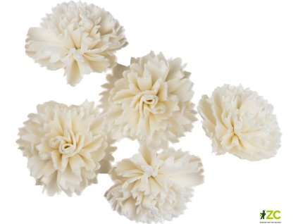 869126 ae765d77 8498 4abd b77e 90cb1efb83f0