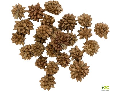 869192 cc472a3d 3f59 4061 a24e b9077bd5435a