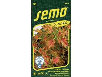 873086 fb05794f 03be 4a35 bd15 4b375a525a49