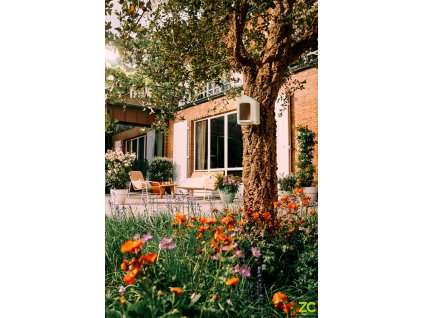 859538 bb329a98 0dba 4bd7 93e7 4ca2689d6edd