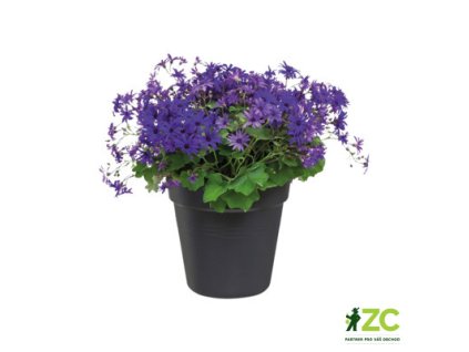 944192 73f2a01c fe38 4a2c b8d4 8319295ea7f9