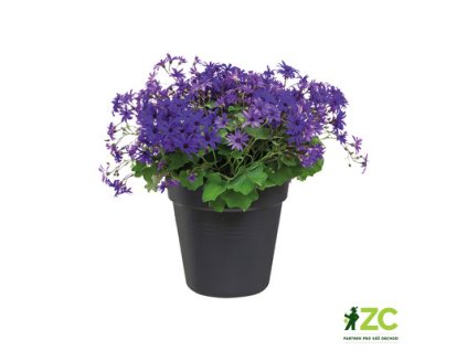 944201 90cce9de 14dd 43b0 ac80 c35bc205e719