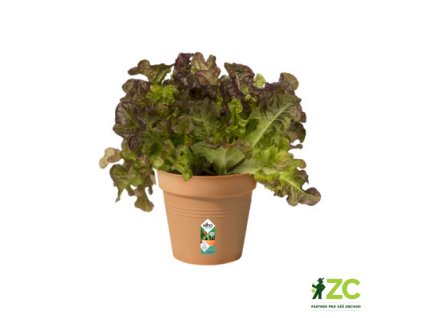 944225 4e8bcaf9 c73b 427a a806 2ce27131b47a