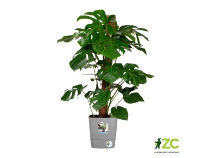 944312 37e6d729 c66f 4e90 a40e 7c2cfca02a15