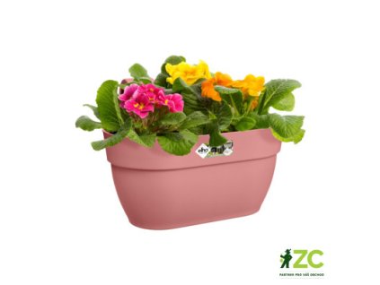 944321 6fb2a59f 76f4 463f 9bd7 309c48aafc89