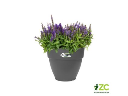 944369 1108cb8f 110a 4648 ba8a b0c5dc06a67a