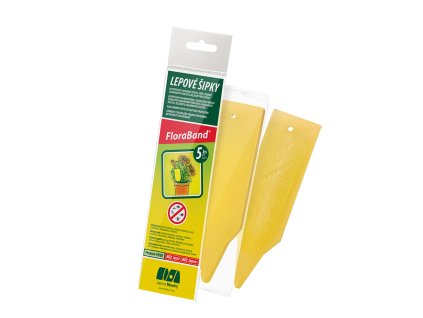 857993 df7392b0 bb24 46cf 929d 9e7519fc18d2