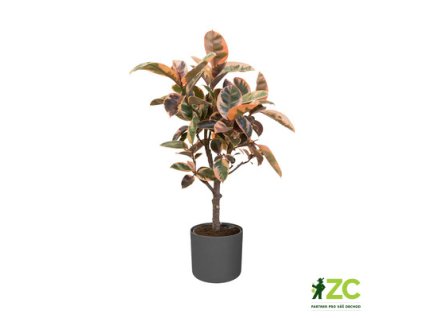 944414 3eb54a4d 0a7e 479f a076 f3492475d7a1