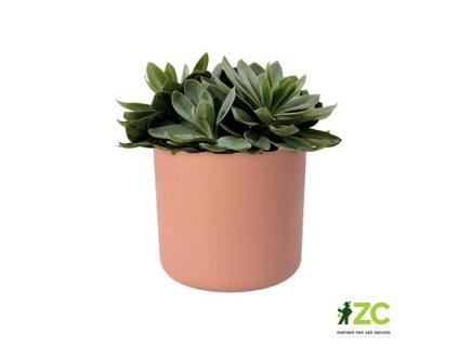 944435 33e11f88 329c 4e9b 87aa 75ca7ecb262f