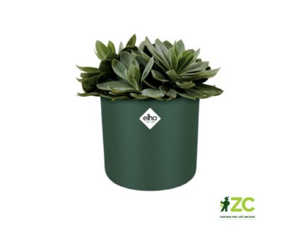 944441 619c6193 a923 4f2e ae16 07fa3e5d4acd