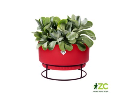 944471 71b9e06e 1573 467d b2d1 8f1004ba868d