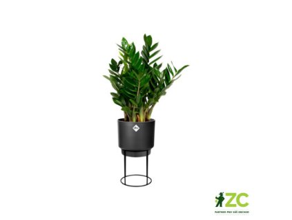 944489 b4b30c97 fece 41da 9516 a1d5eb01d332