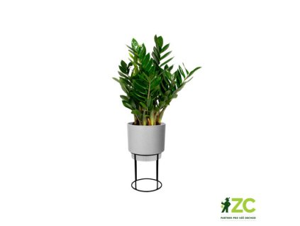 944492 3d1e6b56 cc11 4c84 8850 4e2e73b582ad