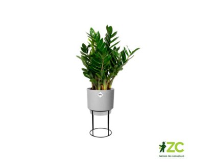 944495 6313dfa8 d208 4b1a 915f e98fc7bbf40e