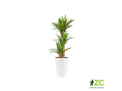 944654 95ea0923 b468 43d2 9a89 ef8d383f6bcd