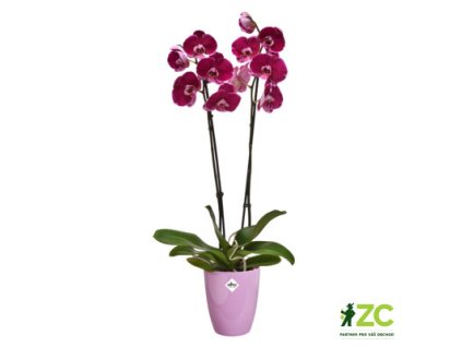 944687 2d791eb4 abb9 4ea9 b479 02f356907ea6