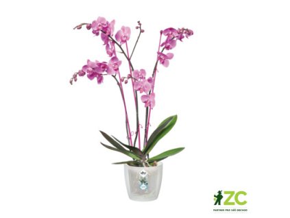 944669 a5de012f b55c 4b75 a527 ff4195ab78ea