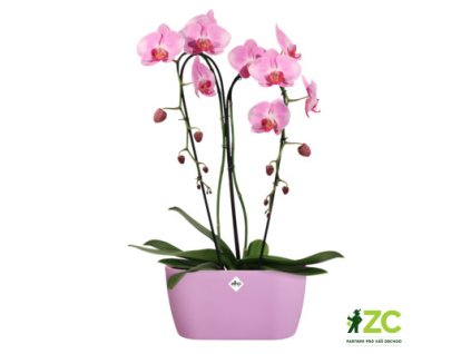 944675 0a8bc307 dc77 41be b334 0fc52e4affa1