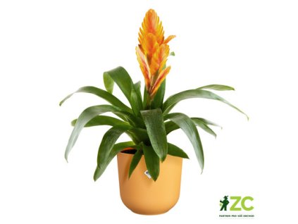 944744 71a044b6 0b8d 4329 81f3 0eccee4a7973