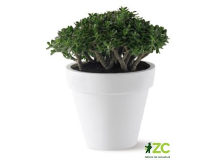 944816 543d8dbc d5e6 4170 9915 63cf9ce61b0e