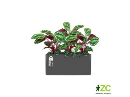 944822 65e98360 baa7 4cf7 a01e 8210c6c2b339