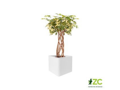 944828 e75d5388 ac87 472e 9cb2 7905f6b54741