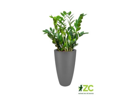 944831 ee84ea93 5db3 4f6c 9c17 30c97d82aaab