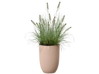 996064 791f8b9b 27a6 4b82 a6b3 4d2062b107e8