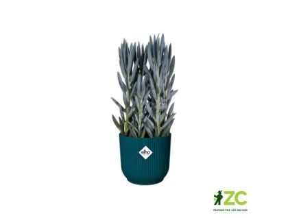 944915 685a77f8 e312 44a8 bac8 acbf3337da44