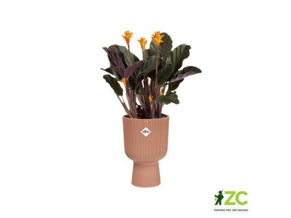 944981 cb2acf45 550c 4e80 9e0f 1b6be504b69d