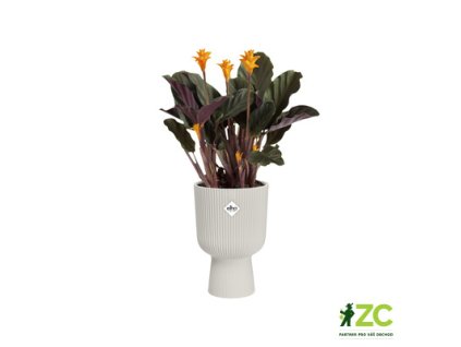 944984 3eb86fc7 9e3f 4721 9a99 67e69ea9b828