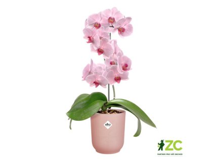 944987 731243ea 4fb2 4091 9f2e fac4229e1570