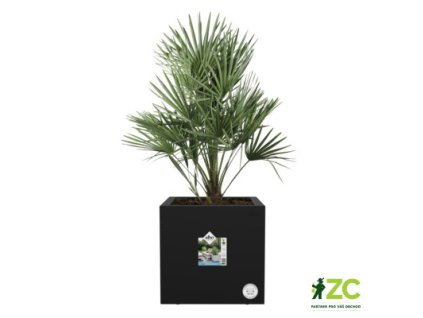 944996 5ca5fea2 a7e6 4a5a 8366 1b93ba392b57