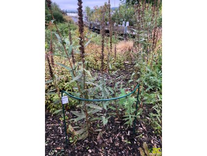 867839 9e8ae86a b708 414a 8738 0e76d221ea09