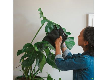 860861 57b0364a d6e5 4b45 b0d6 1e6c752fe6f3