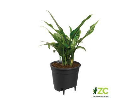 945050 21d58bc0 8d30 48d7 a722 a1714420f52e