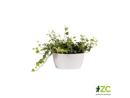 945062 4fdf43c6 fa12 42f6 9a1d e706029fdddc