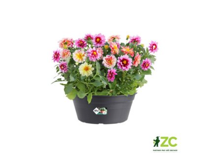 945065 15f780d5 6f87 430f a162 efbbfbc057b3