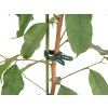 1069767 4 klip na vazani rostlin 4x2 6cm ph 25ks