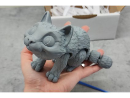 3D omalovánka kočky