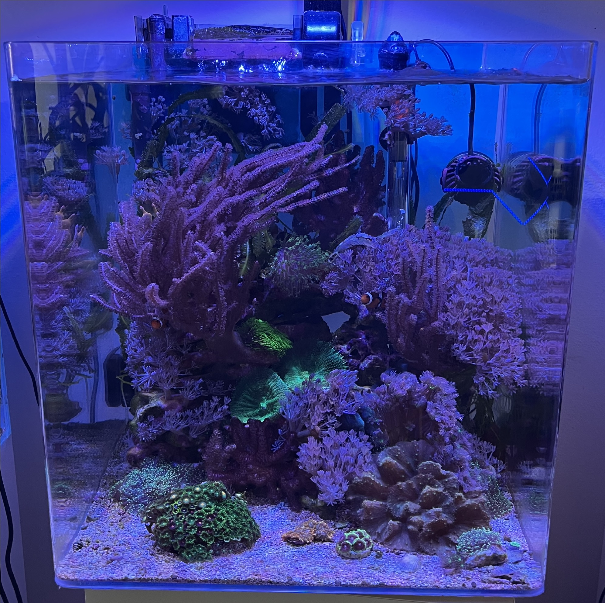 Mořské akvárium 68l