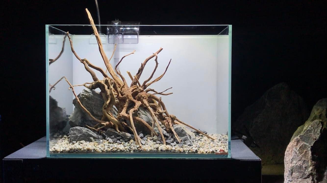 Rostlinné akvárium - 36x22x26