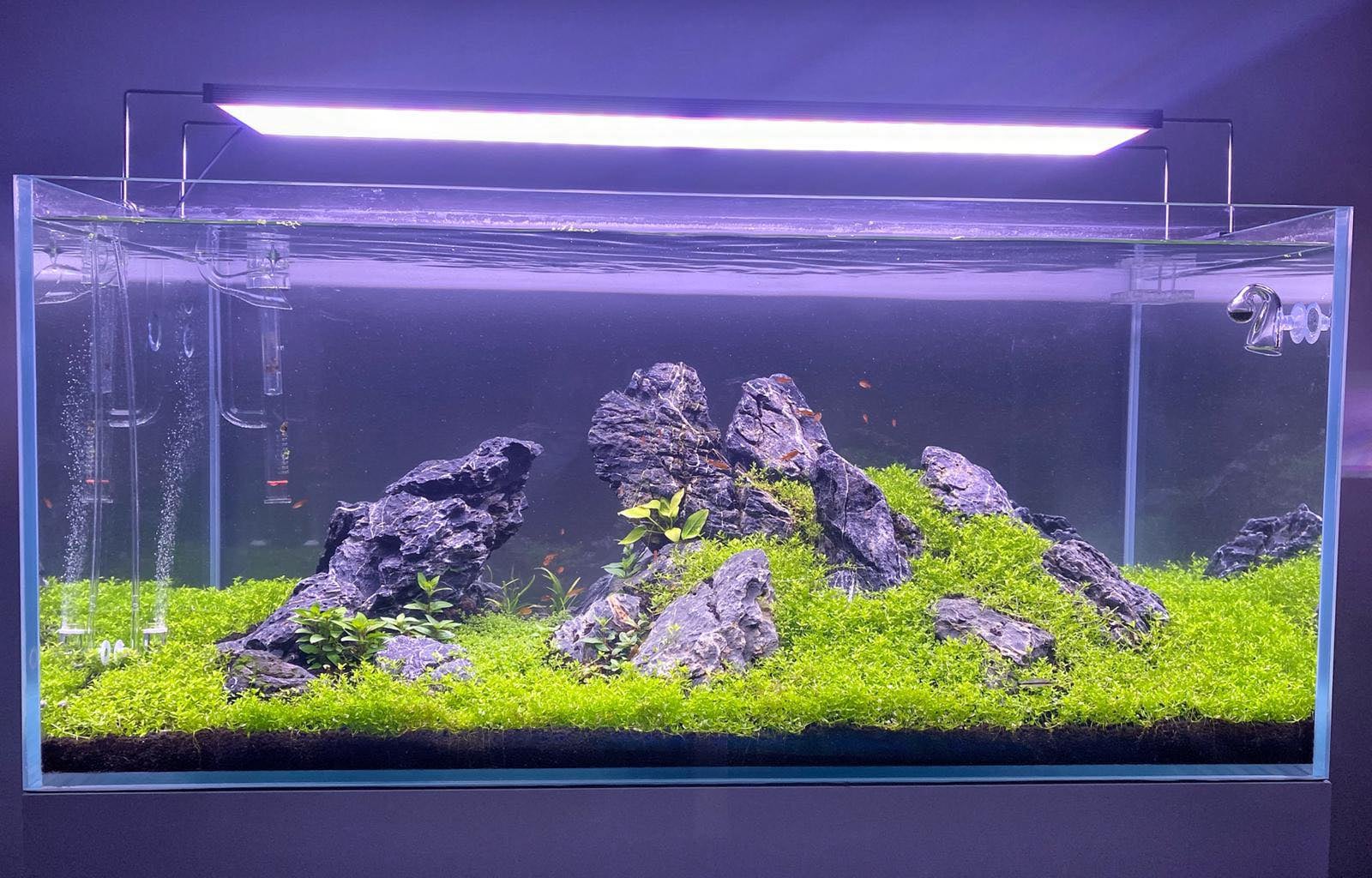 Výstavní akvárium 100x50x45 - optiwhite