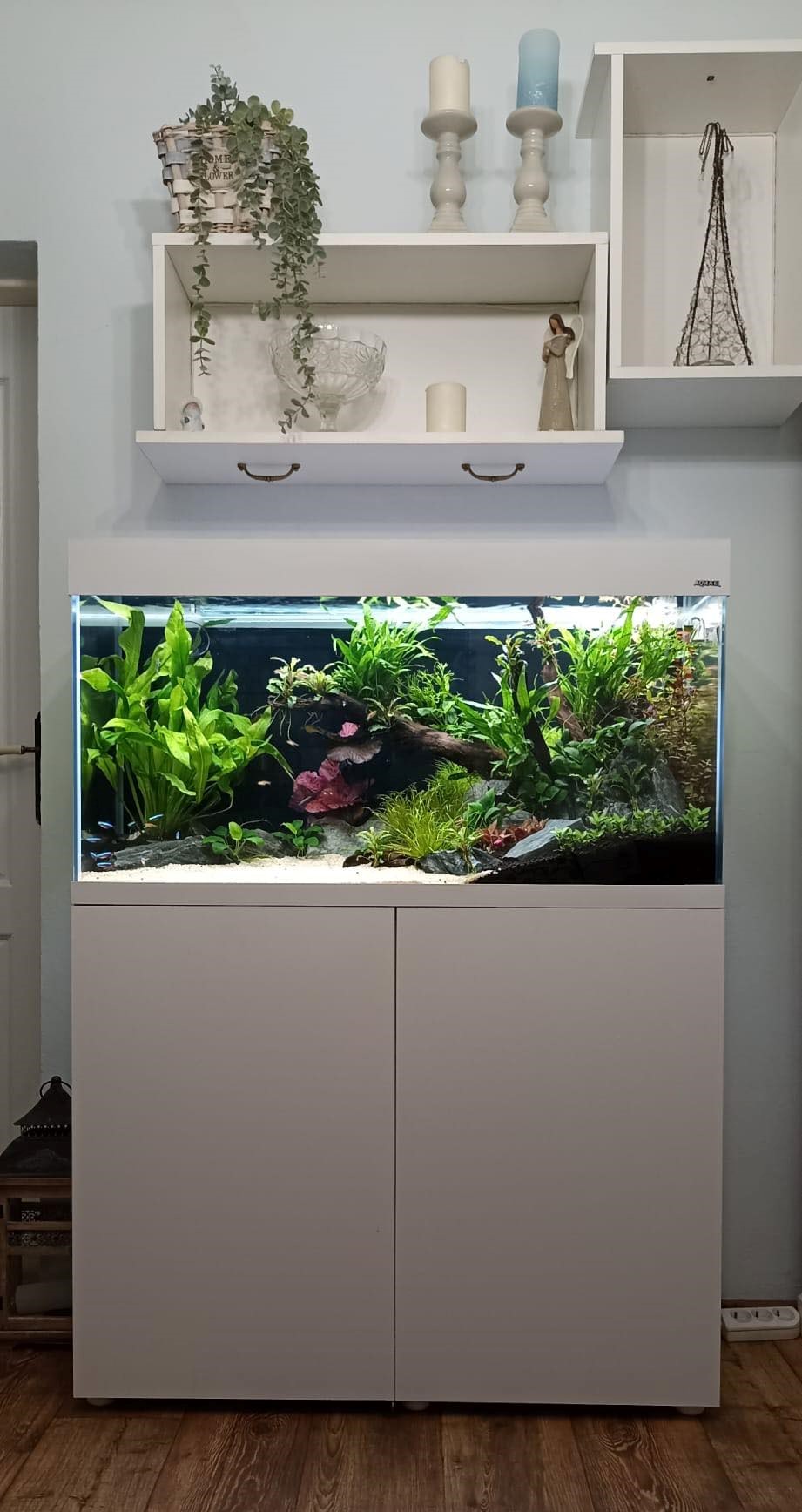 Aquael Optiset 200l