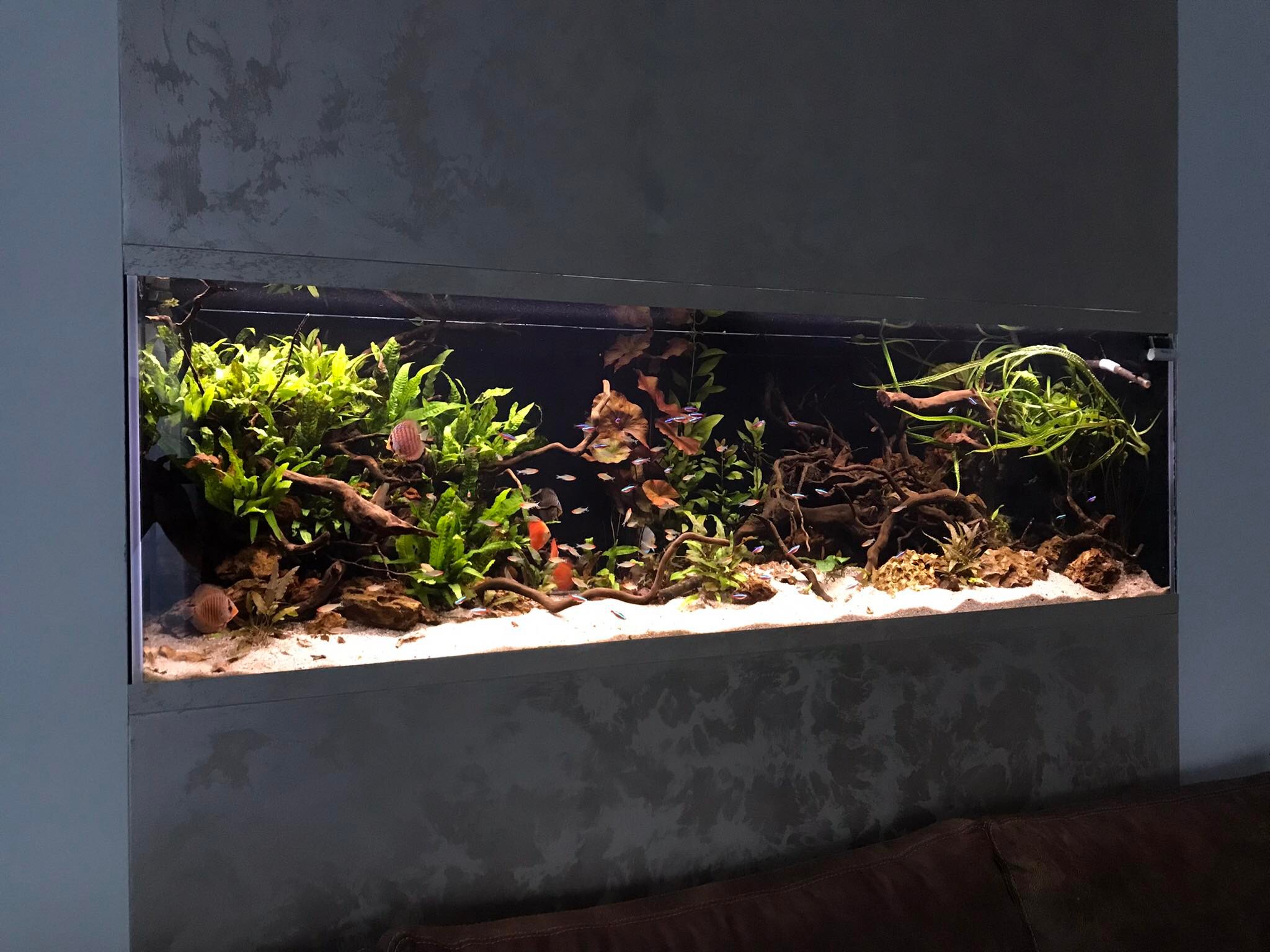 Akvárium pro Terčovce 200x60x60