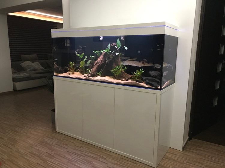 450l akvárium určené pro L-sumce