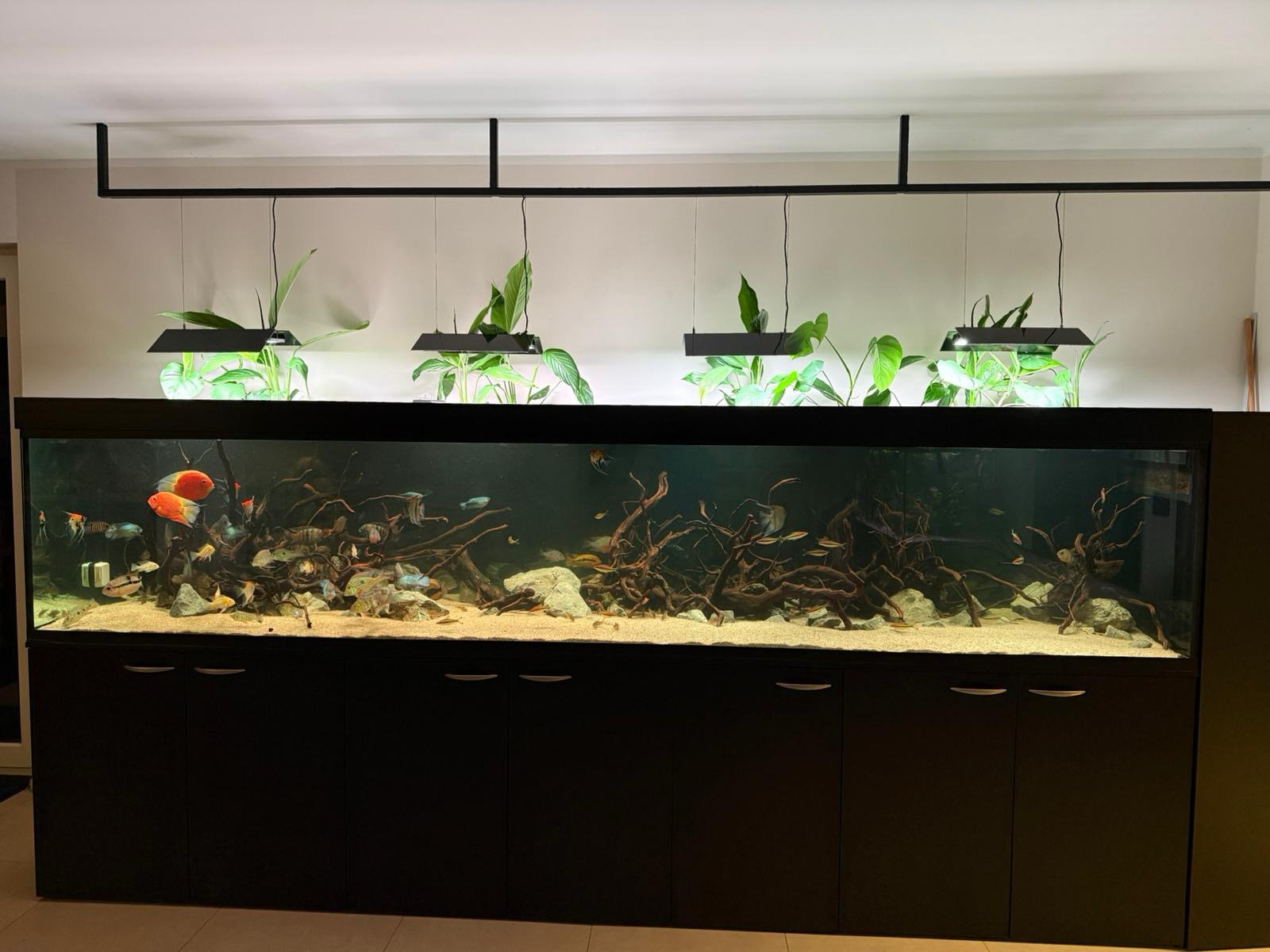 Automatizované akvárium 360x80x70 cm v Ostravě