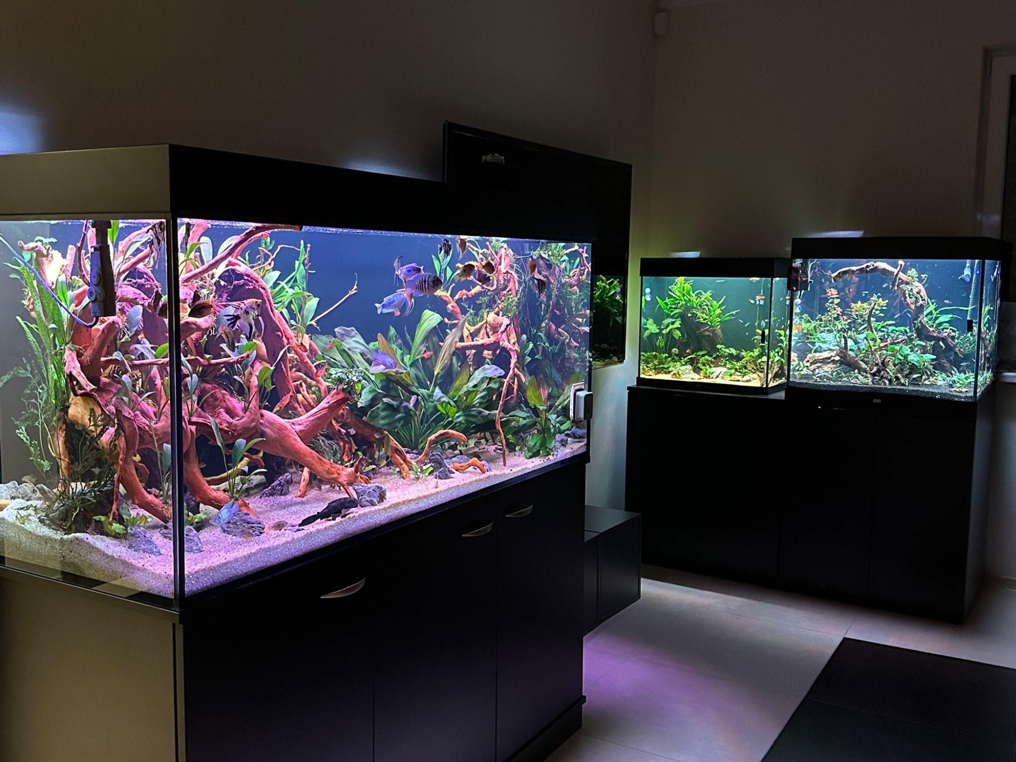 600 litrů vody v Ostravě