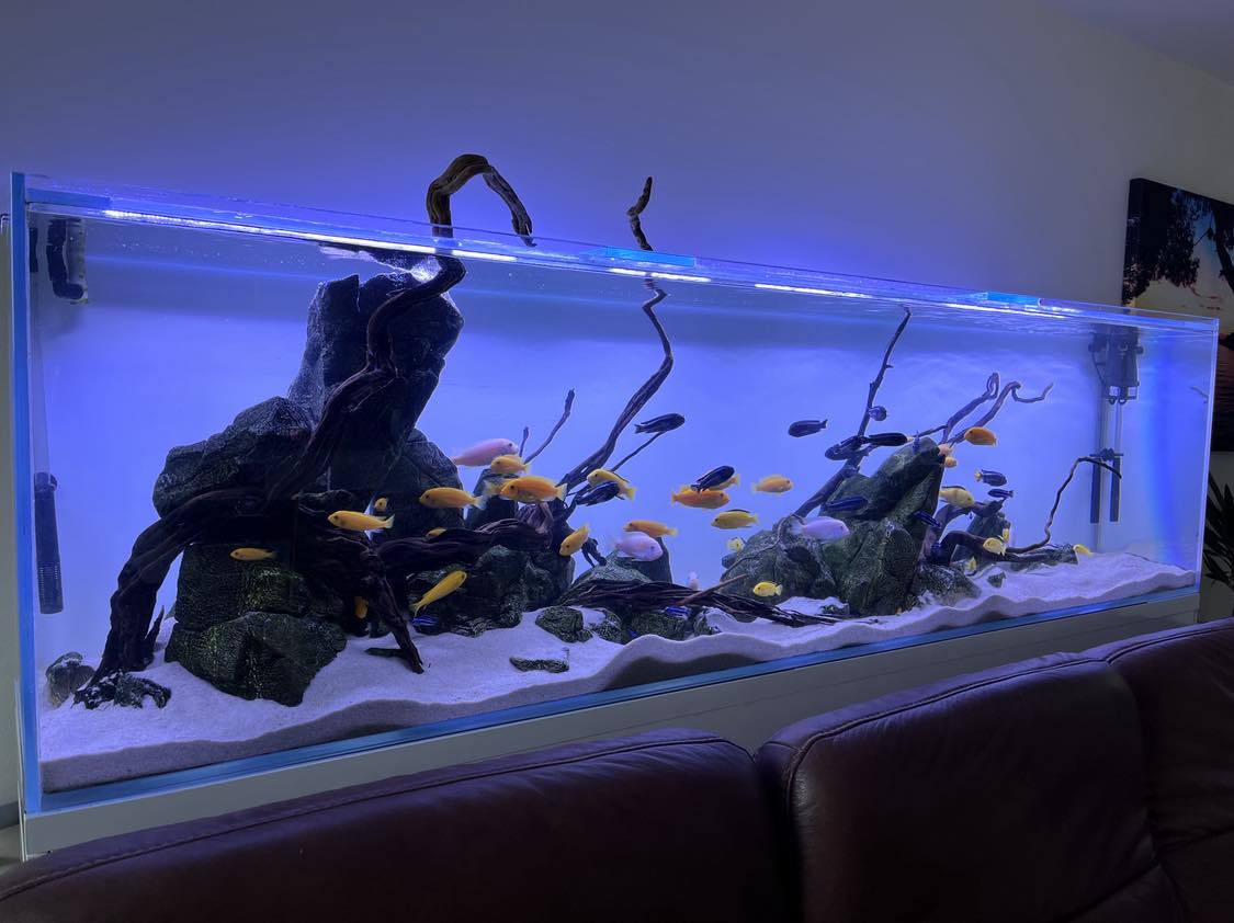 Malawi akvárium -220x50x60 - Optiwhite