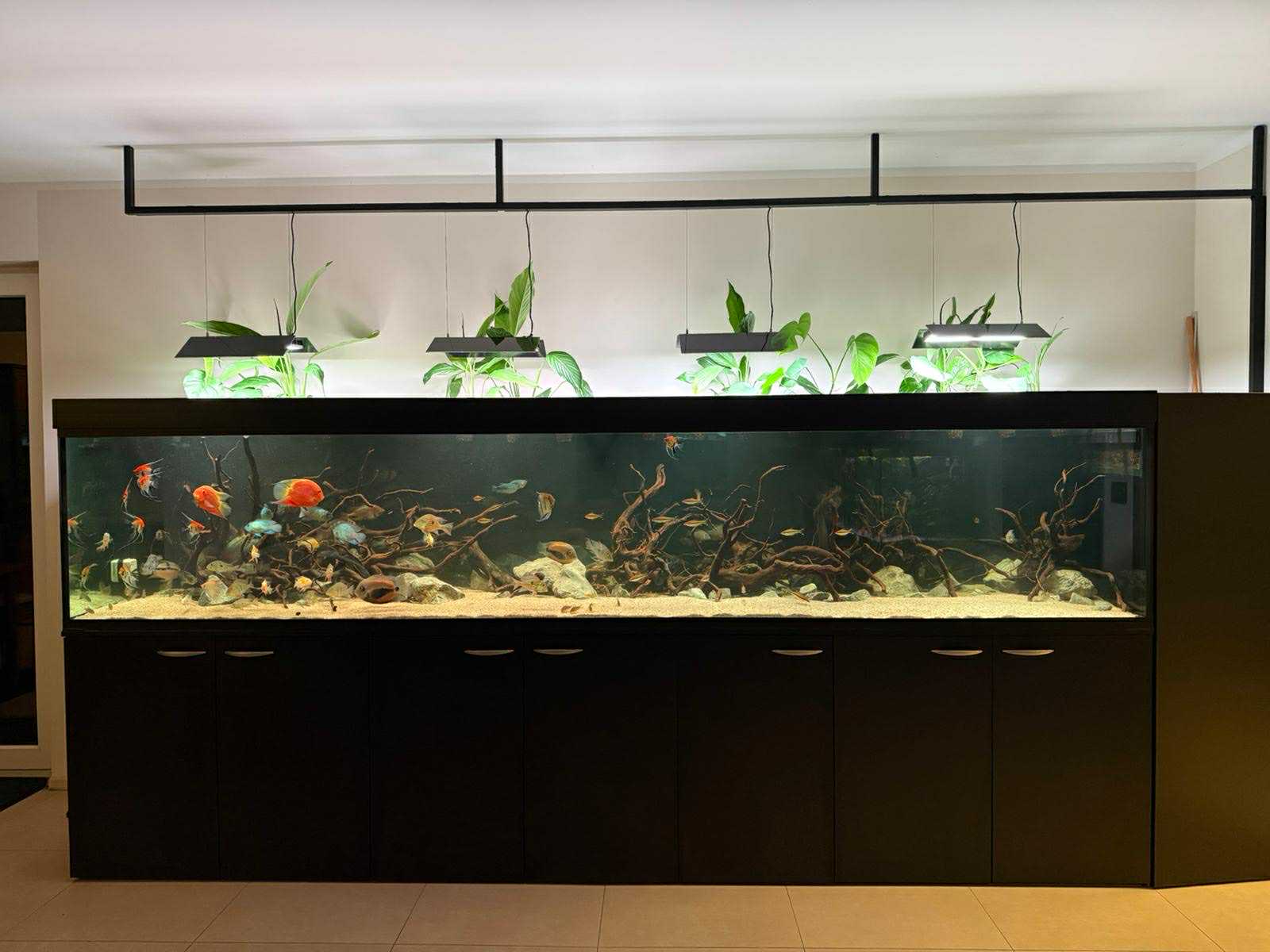 Automatizované akvárium 360x80x70 cm v Ostravě